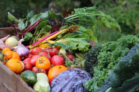 Spara pengar på att odla!