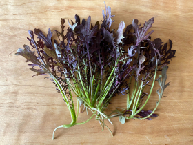 Purple Frills, ekofrö