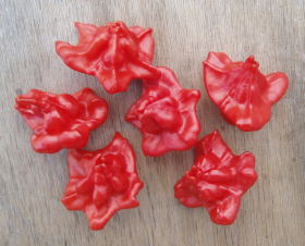 Glockenpaprika, ekofrö