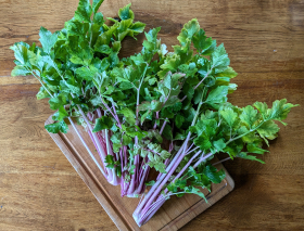 Chinese Pink Celery, ekofrö