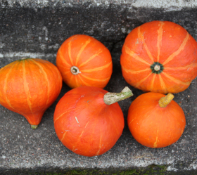 Uchiki Kuri, ekofrö