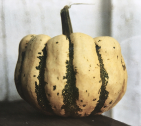 Sweet Dumpling, ekofrö