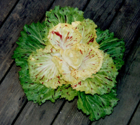 Varigata di Castelfranco