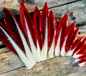 Rossa di Treviso, ekofrö