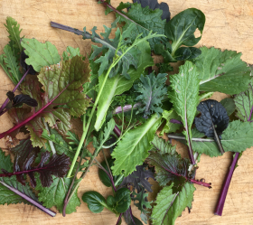 Fedco Green Mix, ekofrö