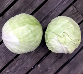 Dottenfelder Dauer, ekofrö