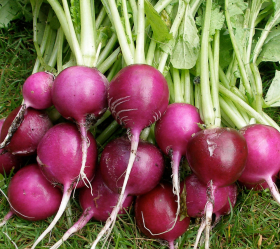 Plum Purple, ekofrö