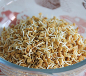 Bockhornsklöver, ekofrö