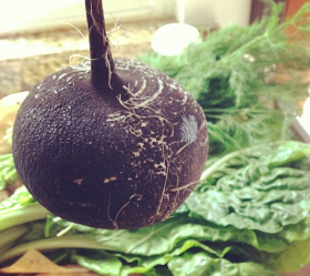 Black Spanish Round, ekofrö