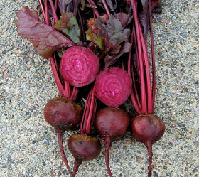 Bull's Blood, ekofrö