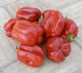 Yolo Wonder, ekofrö