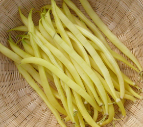 Rocquencourt, ekofrö