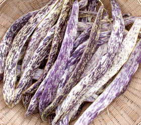 Dragon Langerie, ekofrö