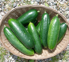 Super Zagross, ekofrö