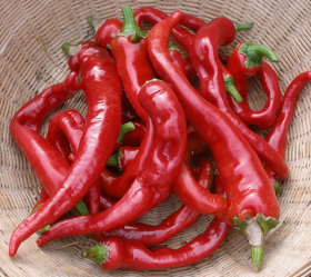 Hot Portugal, ekofrö