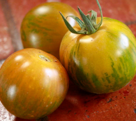 Green Zebra, ekofrö