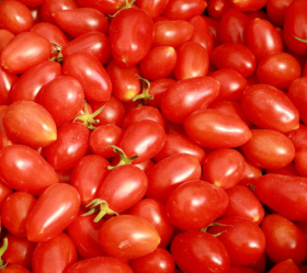 Red Pearl, Pärltomat, ekofrö