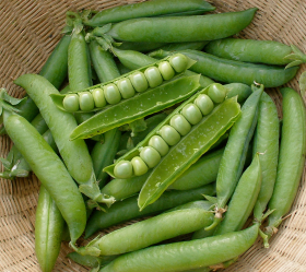 Kelvedon Wonder, ekofrö