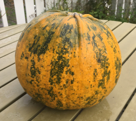 Retzer Gold, ekofrö