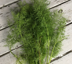 Vanlig dill, ekofrö