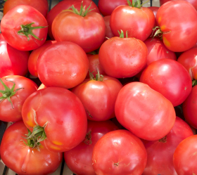 Berner Rose, ekofrö