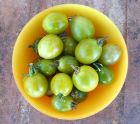 Green Doctor, ekofrö