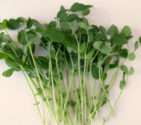 Ärtskott, Field, ekofrö