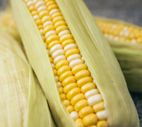 Double Standard, ekofrö