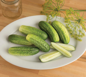 Cool Customer, ekofrö