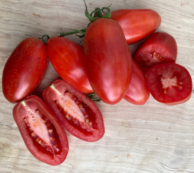 San Marzano, ekofrö