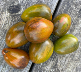 Brad's Atomic, ekofrö