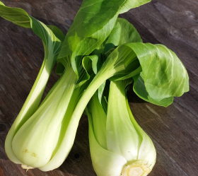 Pac Choi Green, ekofrö